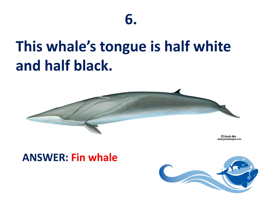 slide7