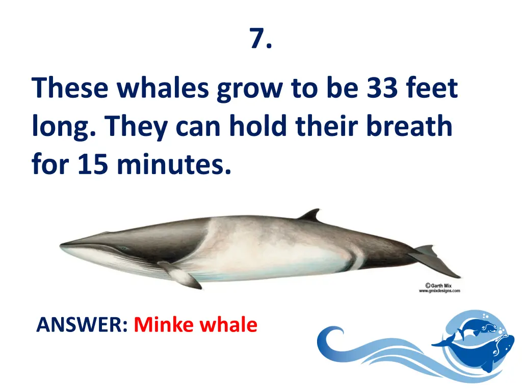slide8