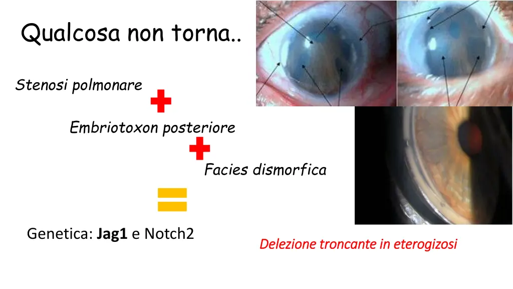 qualcosa non torna