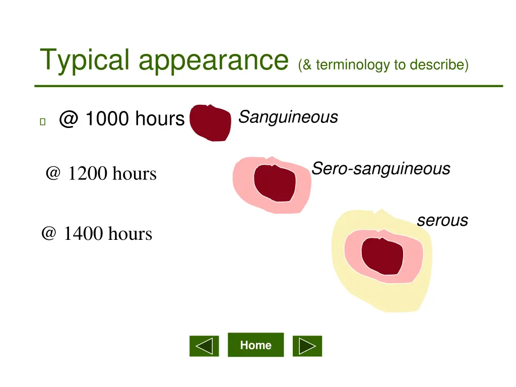 typical appearance terminology to describe