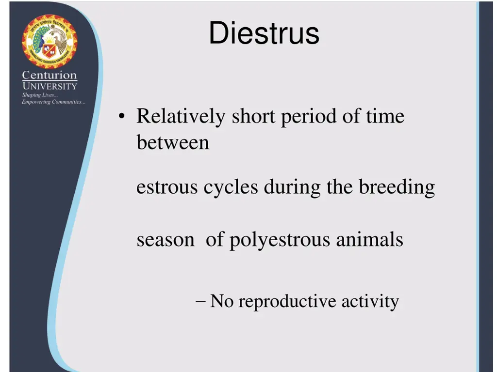 diestrus