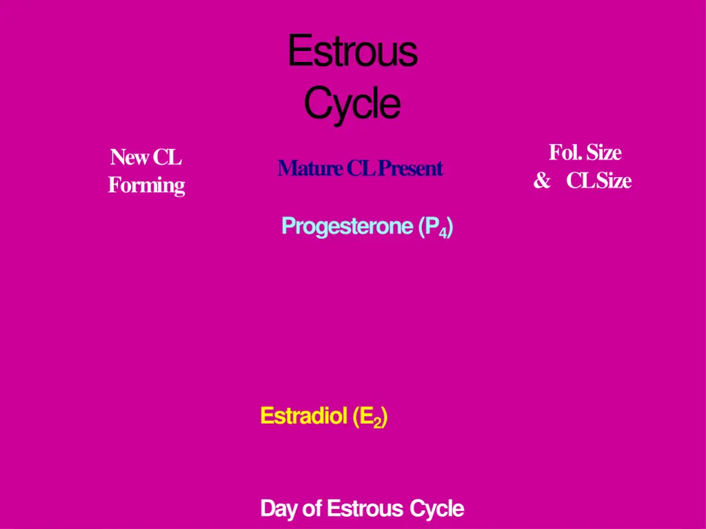 estrous cycle