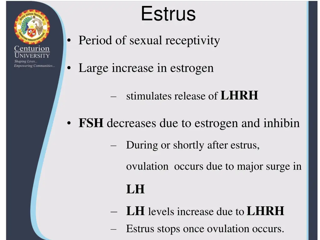 estrus