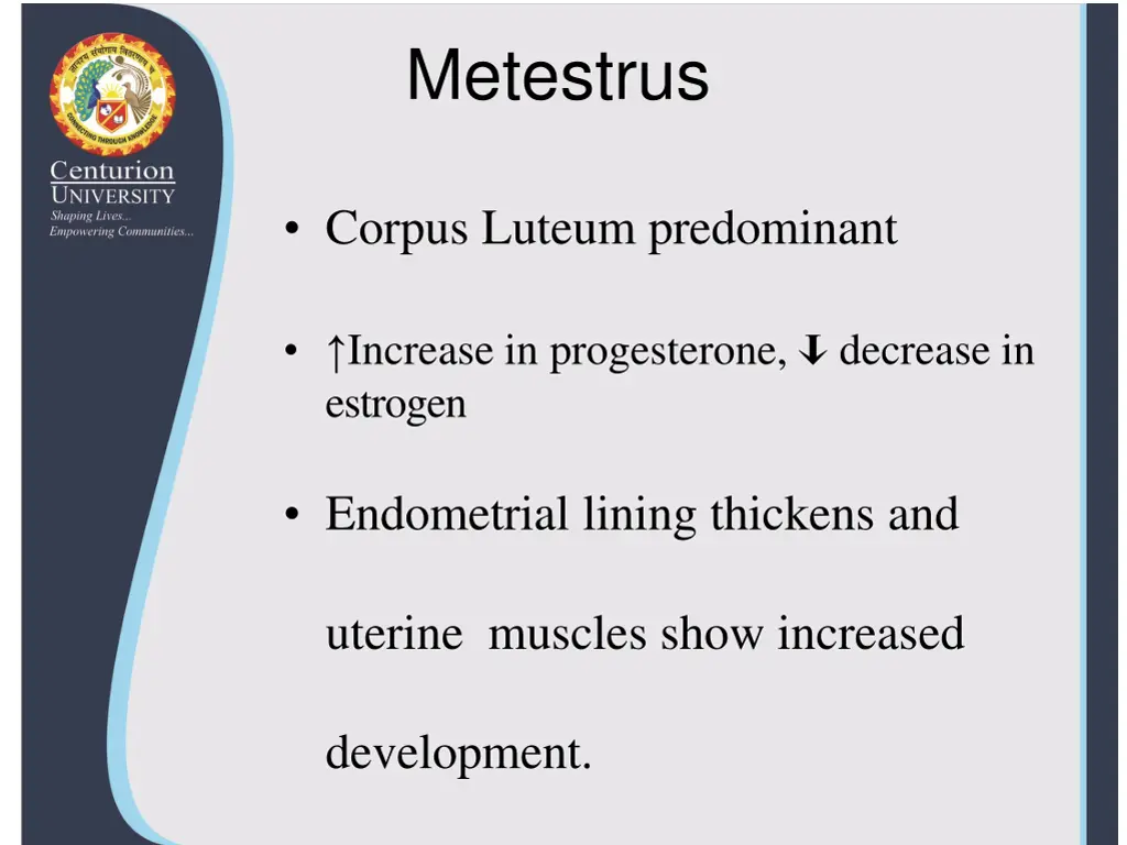metestrus