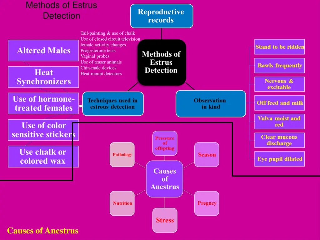 methods of estrus detection