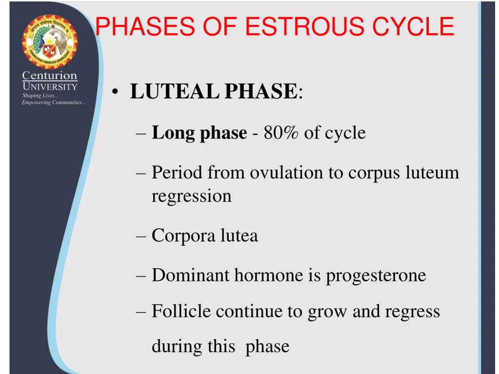 phases of estrous cycle 1