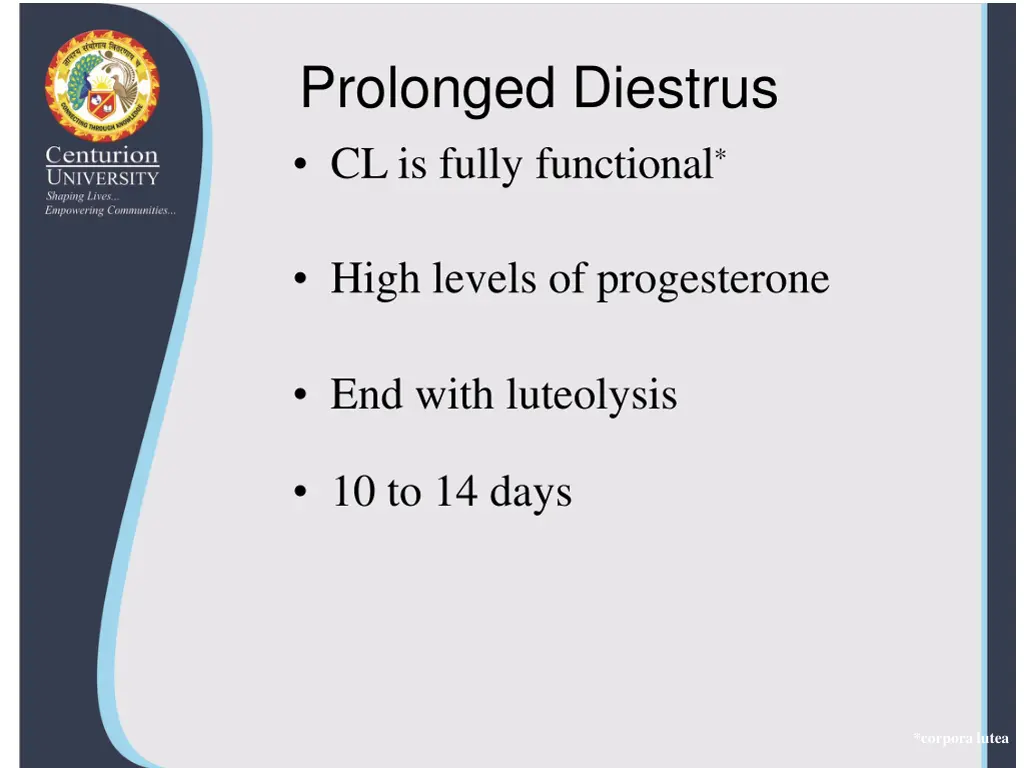prolonged diestrus