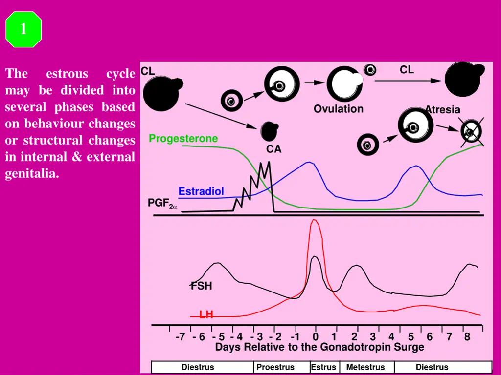 slide21