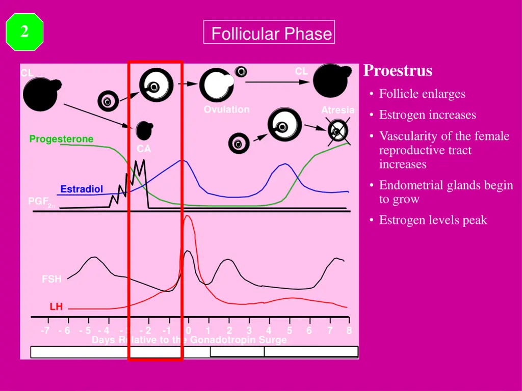 slide22