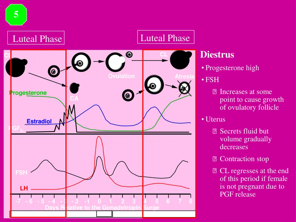 slide25