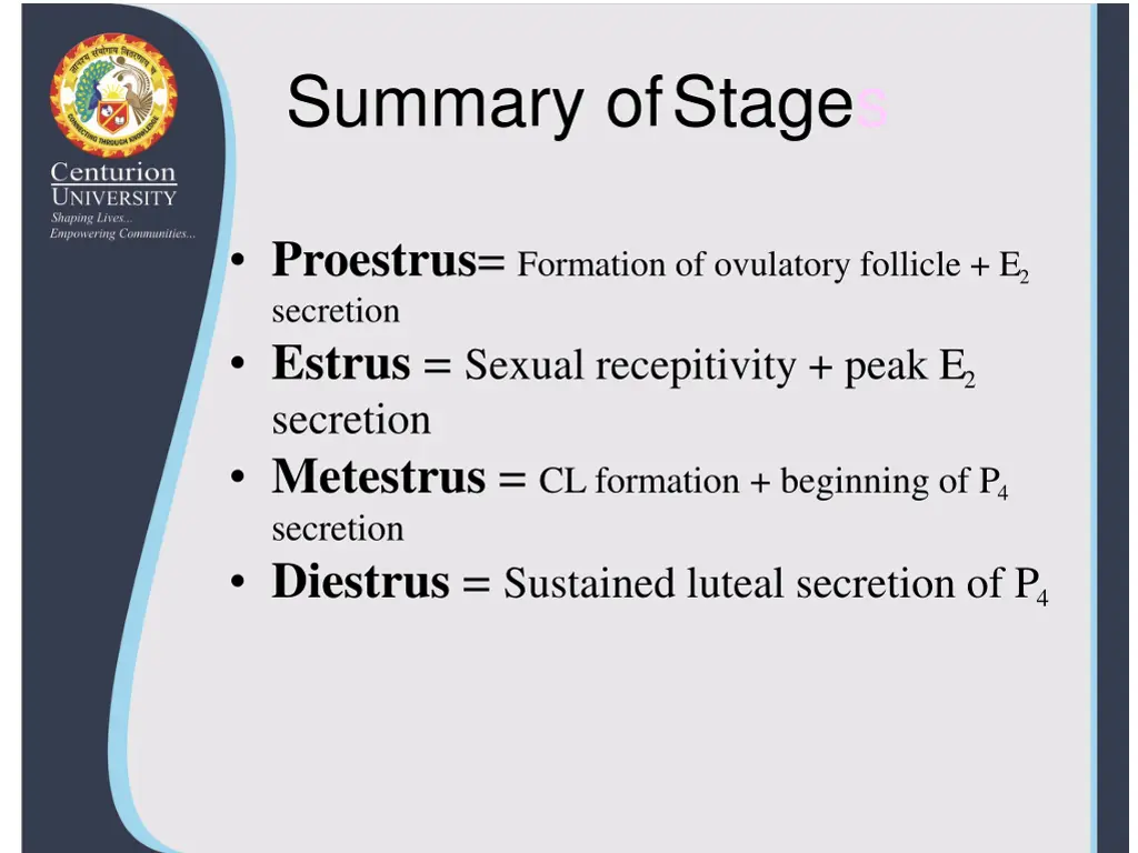 summary ofstages