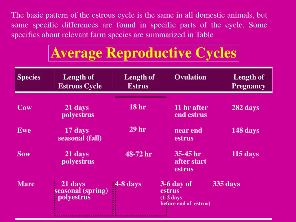 the basic pattern of the estrous cycle