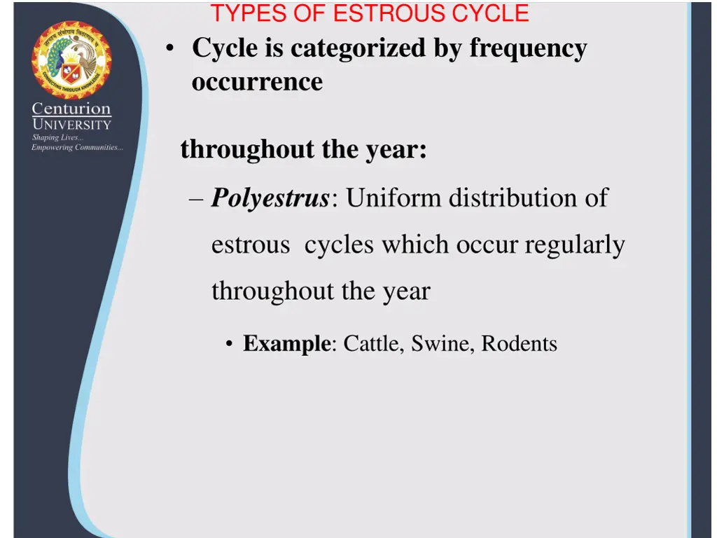 types of estrous cycle