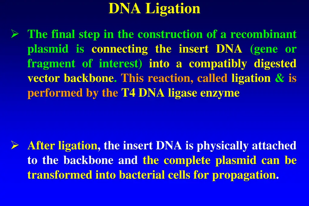 dna ligation