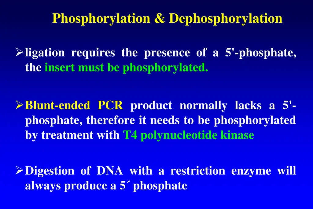 phosphorylation dephosphorylation 1
