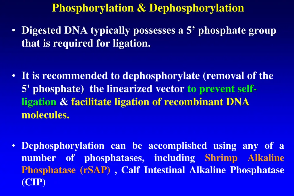 phosphorylation dephosphorylation