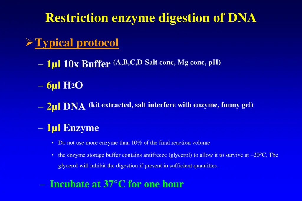 restriction enzyme digestion of dna