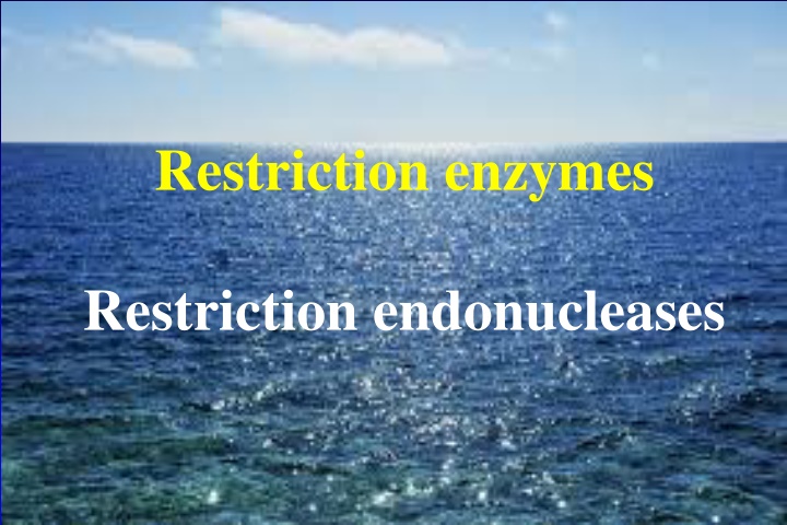 restriction enzymes