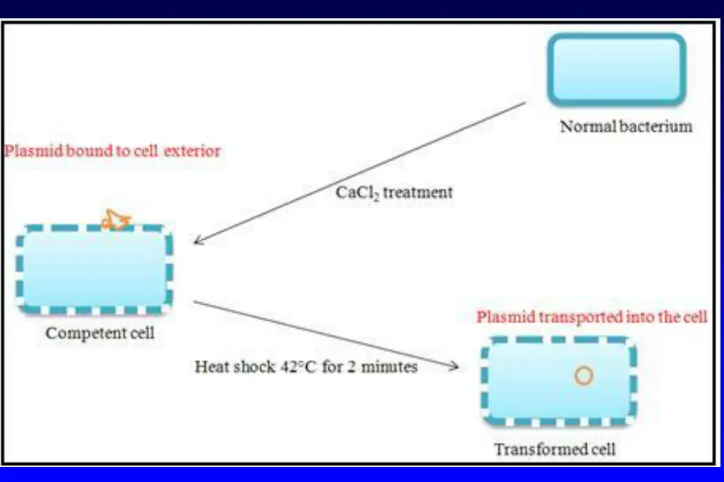 slide30