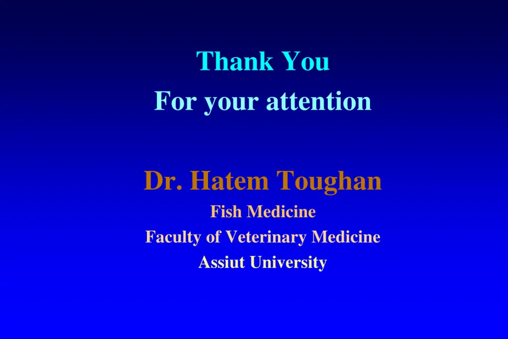 thank you for your attention