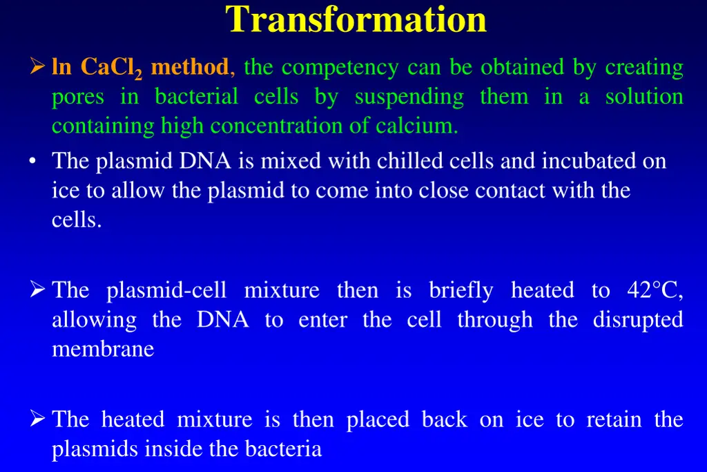 transformation 2