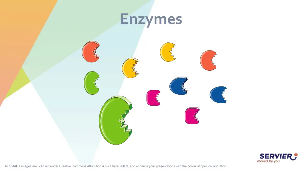 enzymes