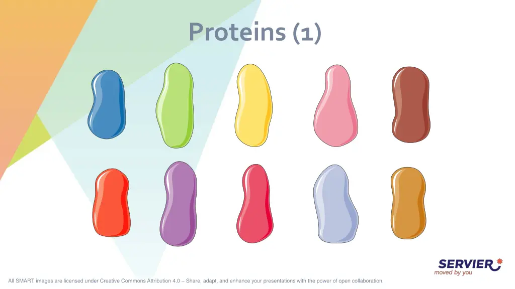 proteins 1