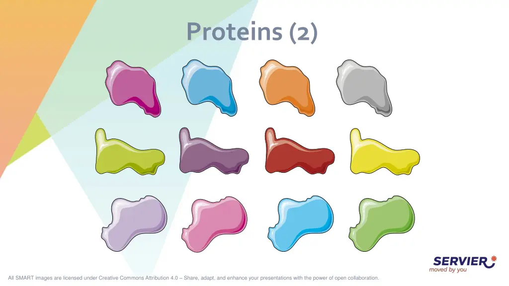 proteins 2