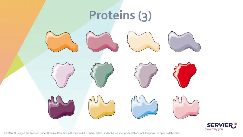 proteins 3
