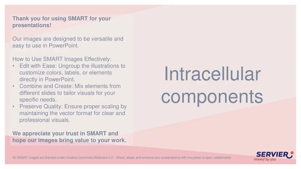 thank you for using smart for your presentations