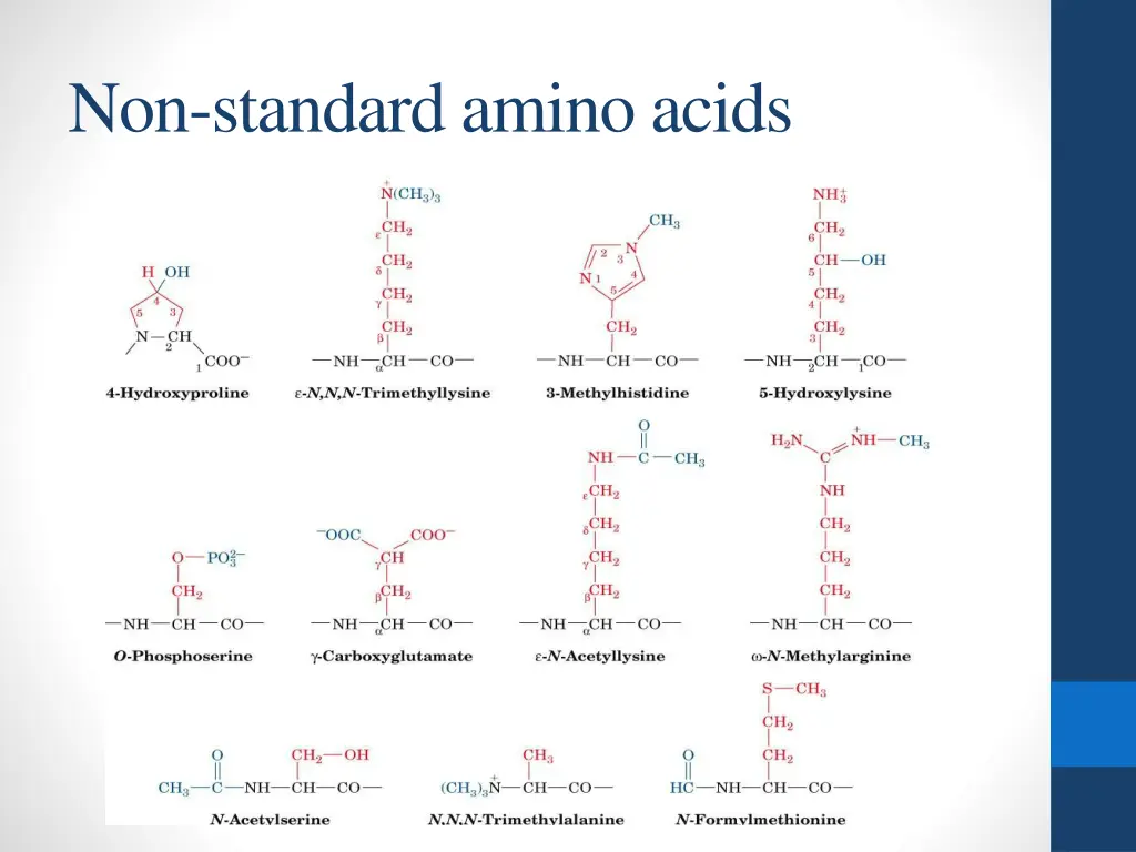 non standard amino acids