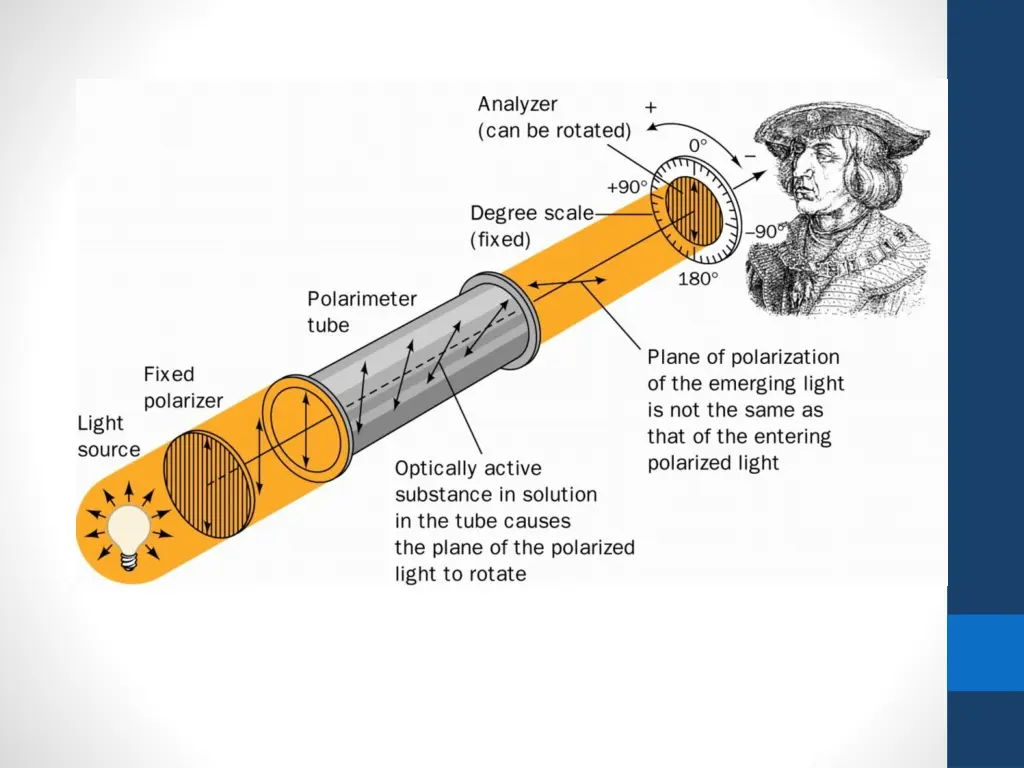 slide19