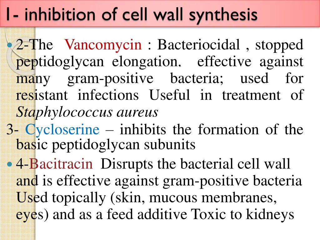 1 inhibition of cell wall synthesis 1