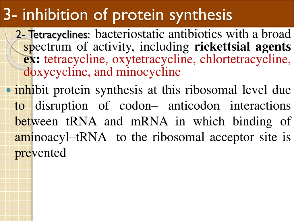 3 i nhibition of protein synthesis