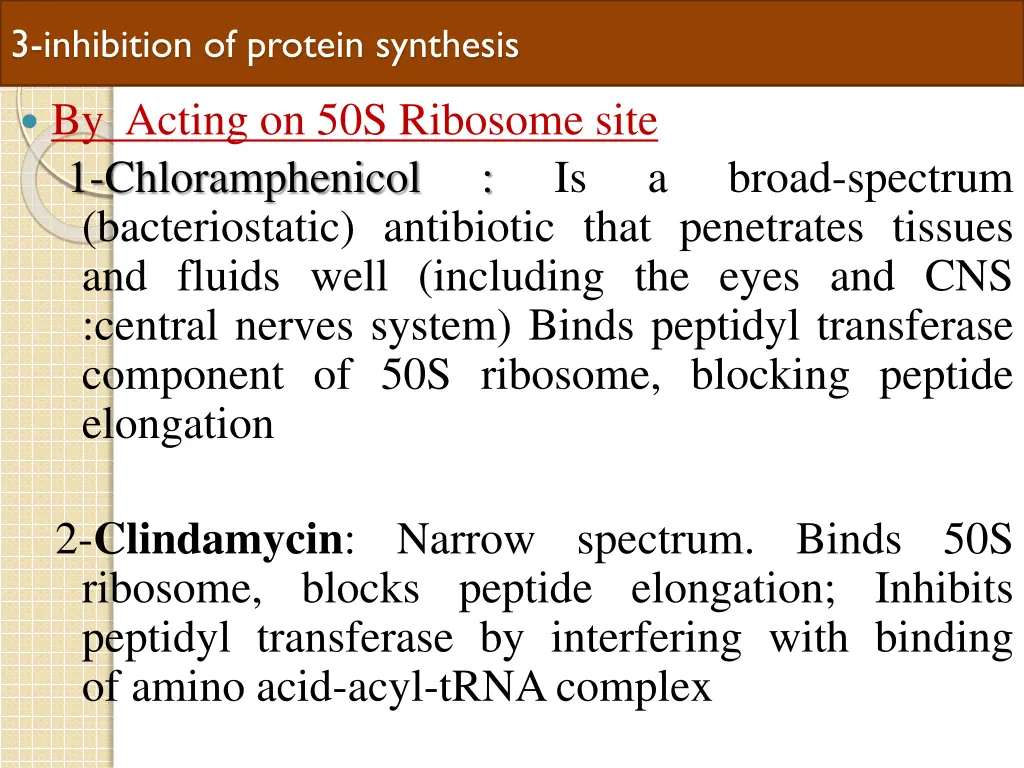 3 inhibition of protein synthesis 1