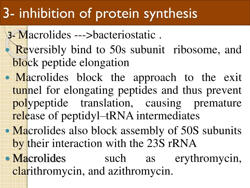 3 inhibition of protein synthesis 2