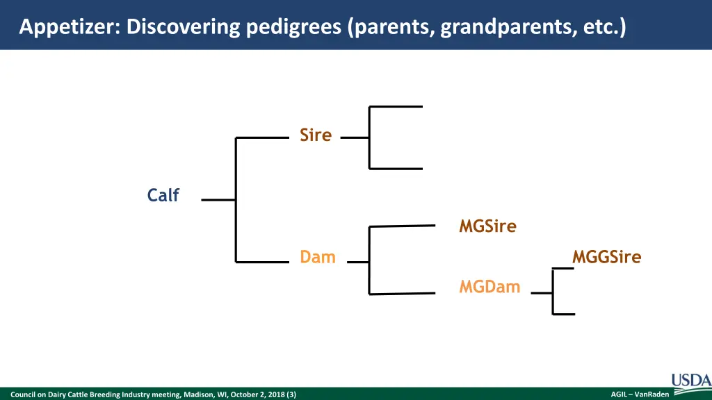 appetizer discovering pedigrees parents