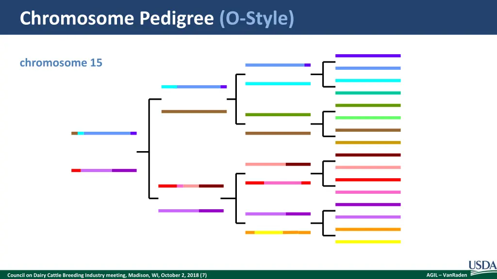 chromosome pedigree o style