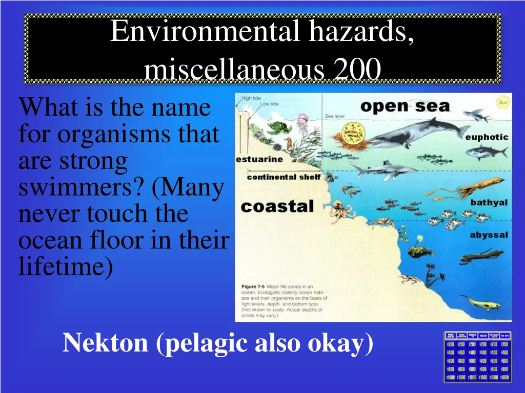 environmental hazards miscellaneous 200 what