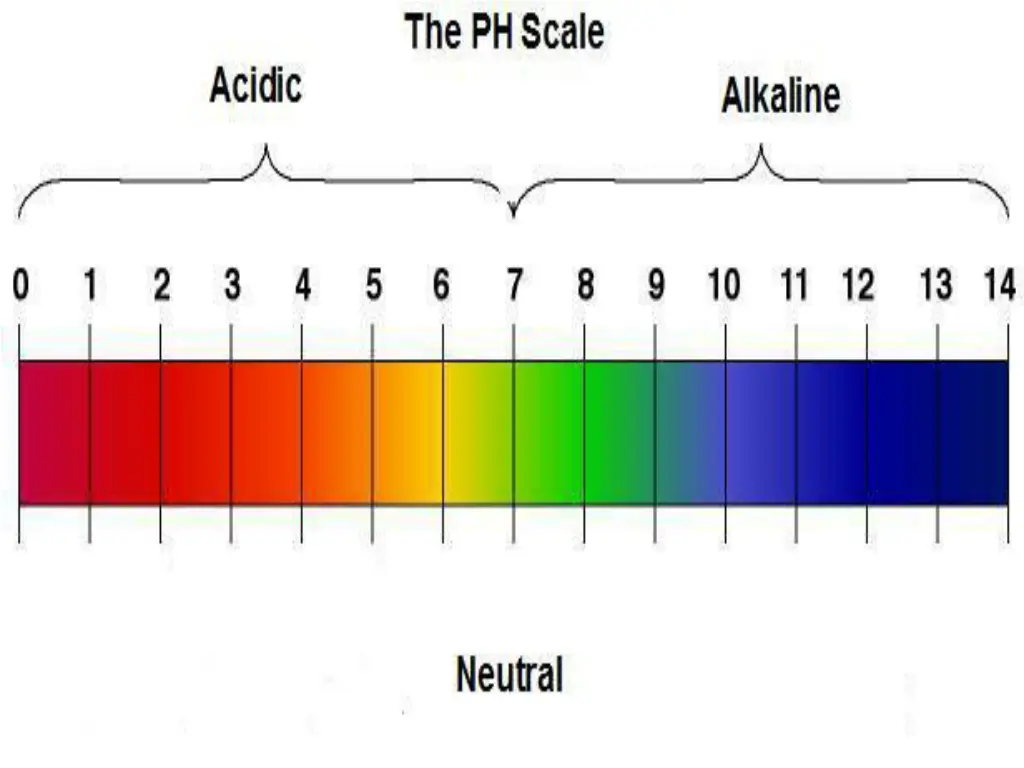 slide9