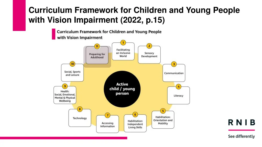 curriculum framework for children and young 1