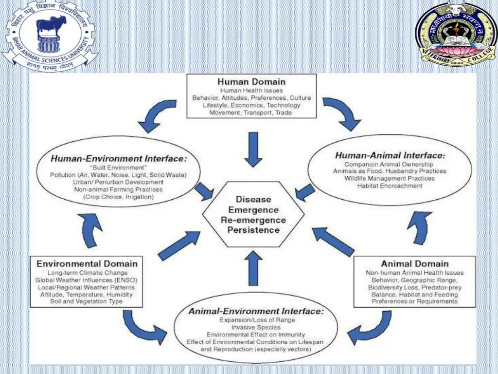 slide8