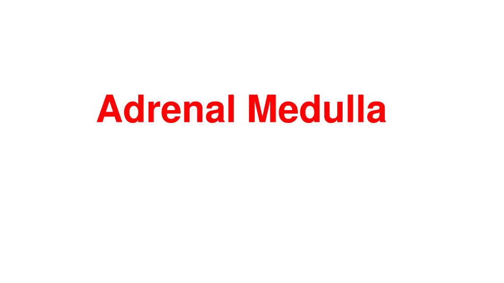 adrenal medulla