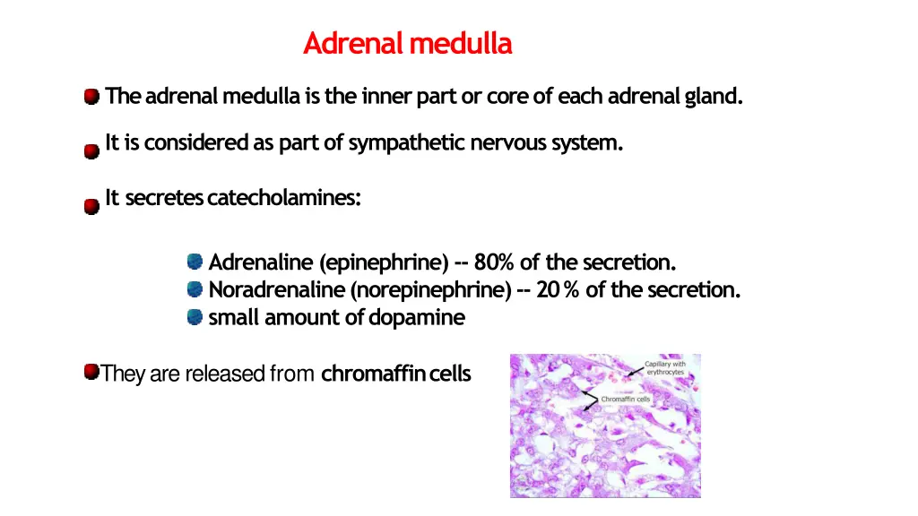 adrenalmedulla