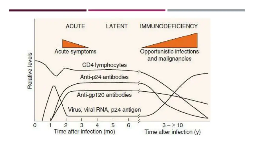slide16
