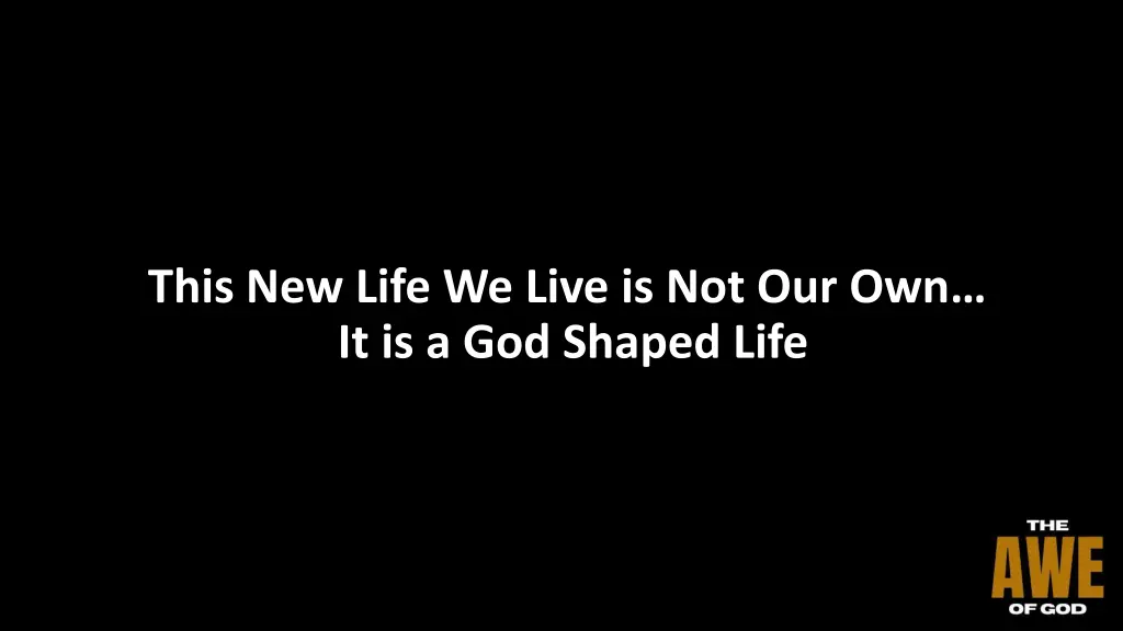this new life we live