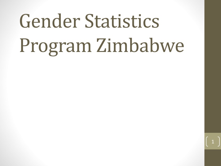 gender statistics program zimbabwe