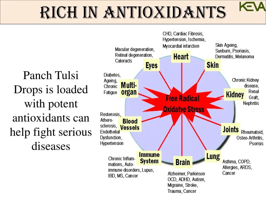 how panch tulsi works how panch tulsi works what 1