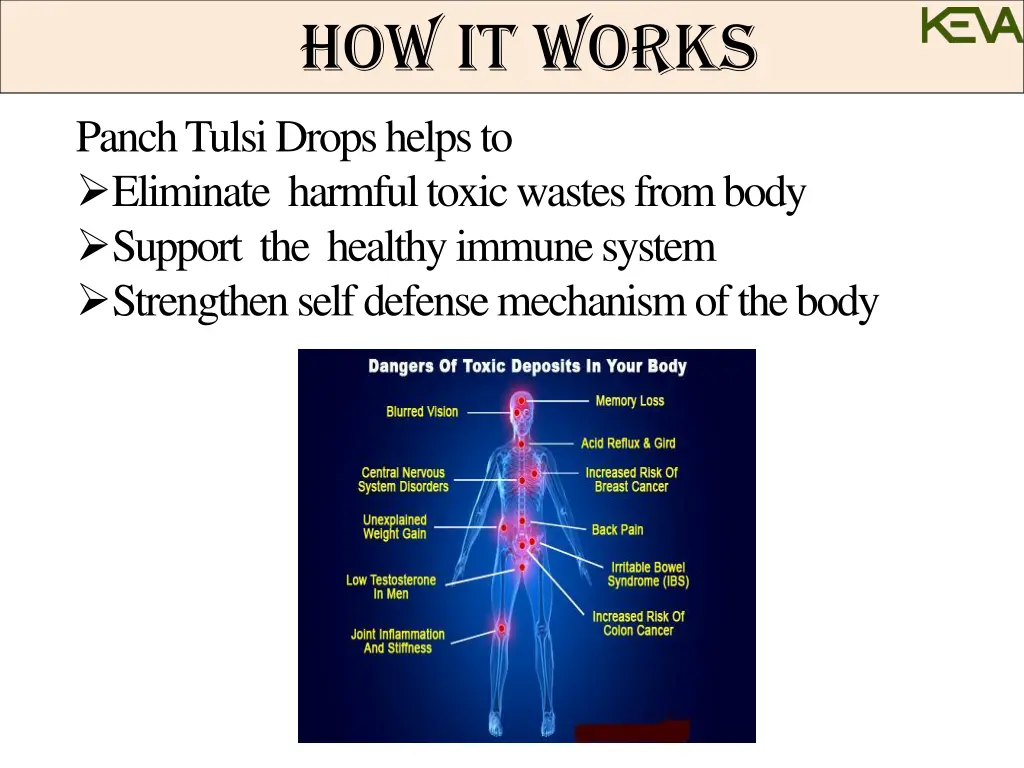 how panch tulsi works how panch tulsi works what