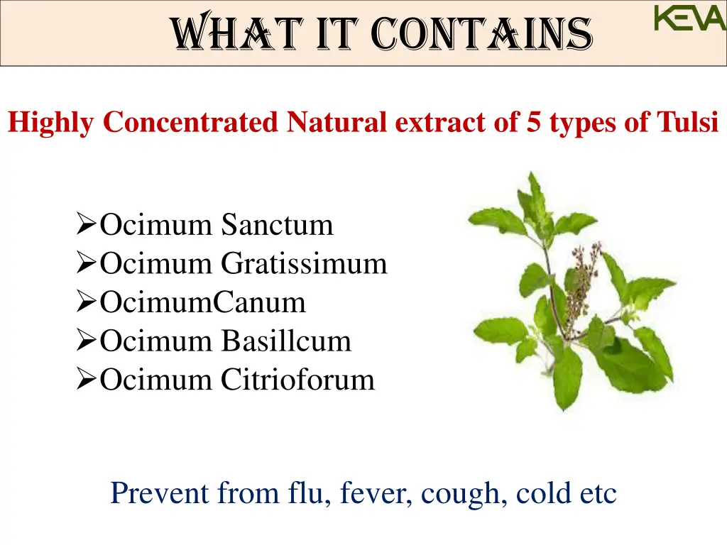 what what panch tulsi panch tulsi contains panch